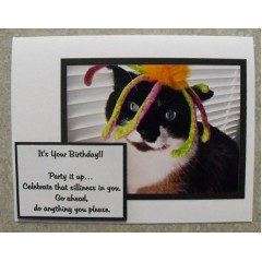 Funny Cat Birthday Cards - Cassia 43